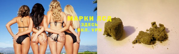 ECSTASY Алзамай