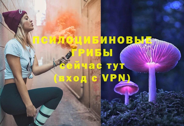ECSTASY Алзамай