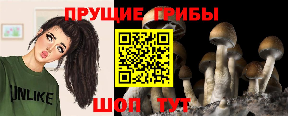 Нурлат  Псилоцибиновые грибы Psilocybe  Галлюциногенные грибы мухоморы  Вход с VPN 